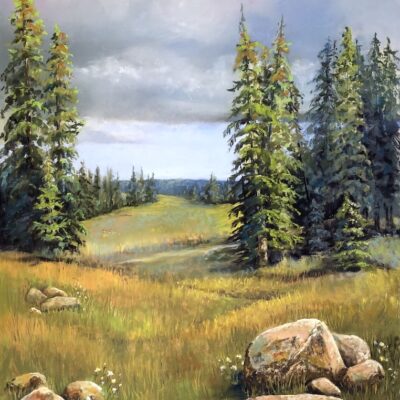 Storm over Beaver Meadows